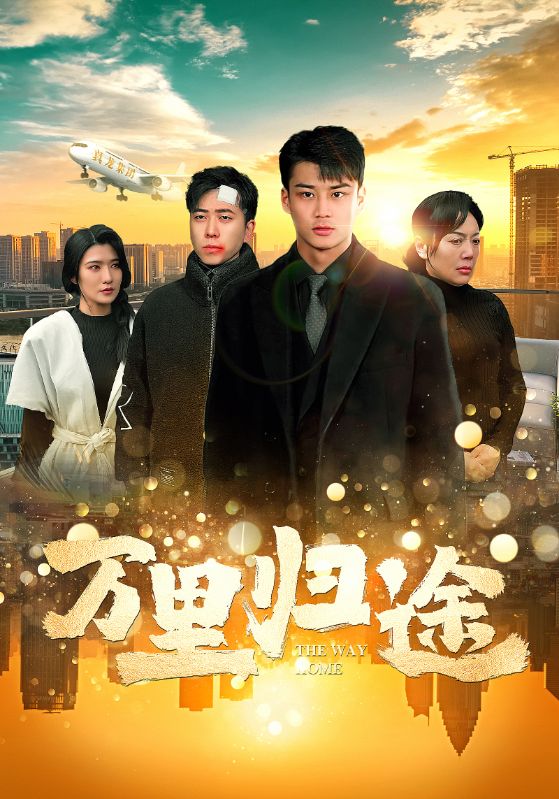 万里归途 短剧版海报
